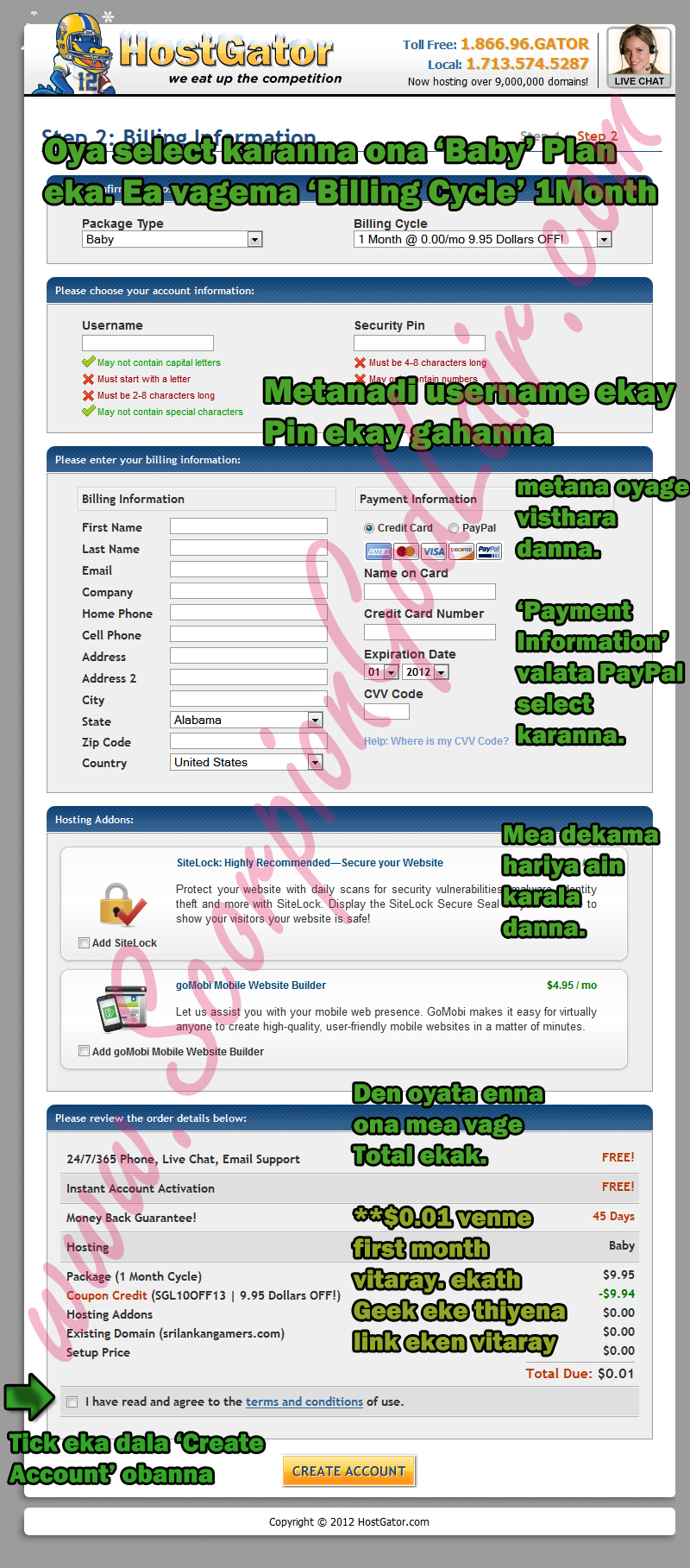 HostGator Hosting Plan Buying Guide Sinhala Image 2 of 3 image