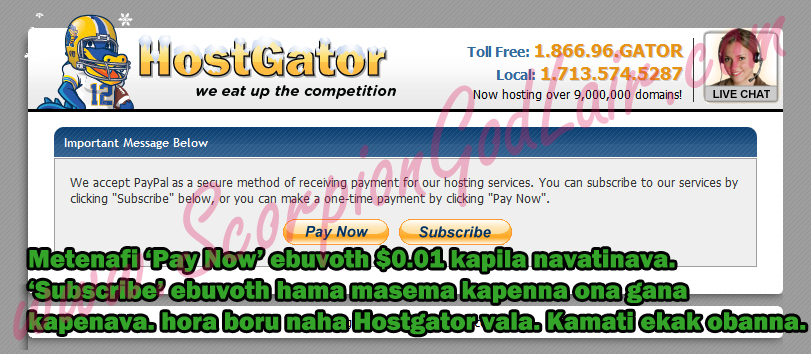 HostGator Hosting Plan Buying Guide Sinhala Image 3 of 3 image